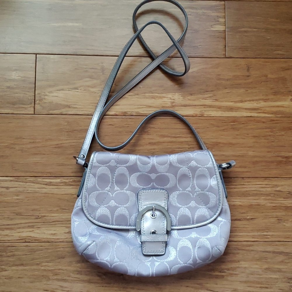 Silver Coach Purse